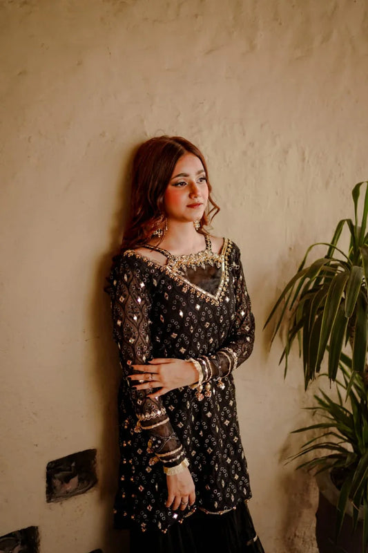 Embroidered Net Chiffon Gharara Set